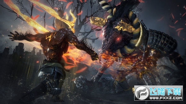 仁王2PC(详细见安装文档)截图2