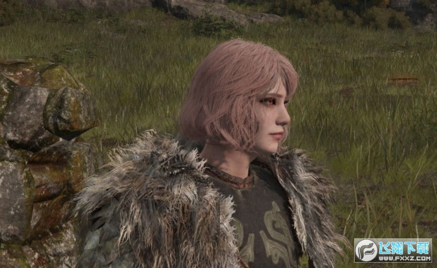 艾尔登法环粉毛短发美少女MOD截图1