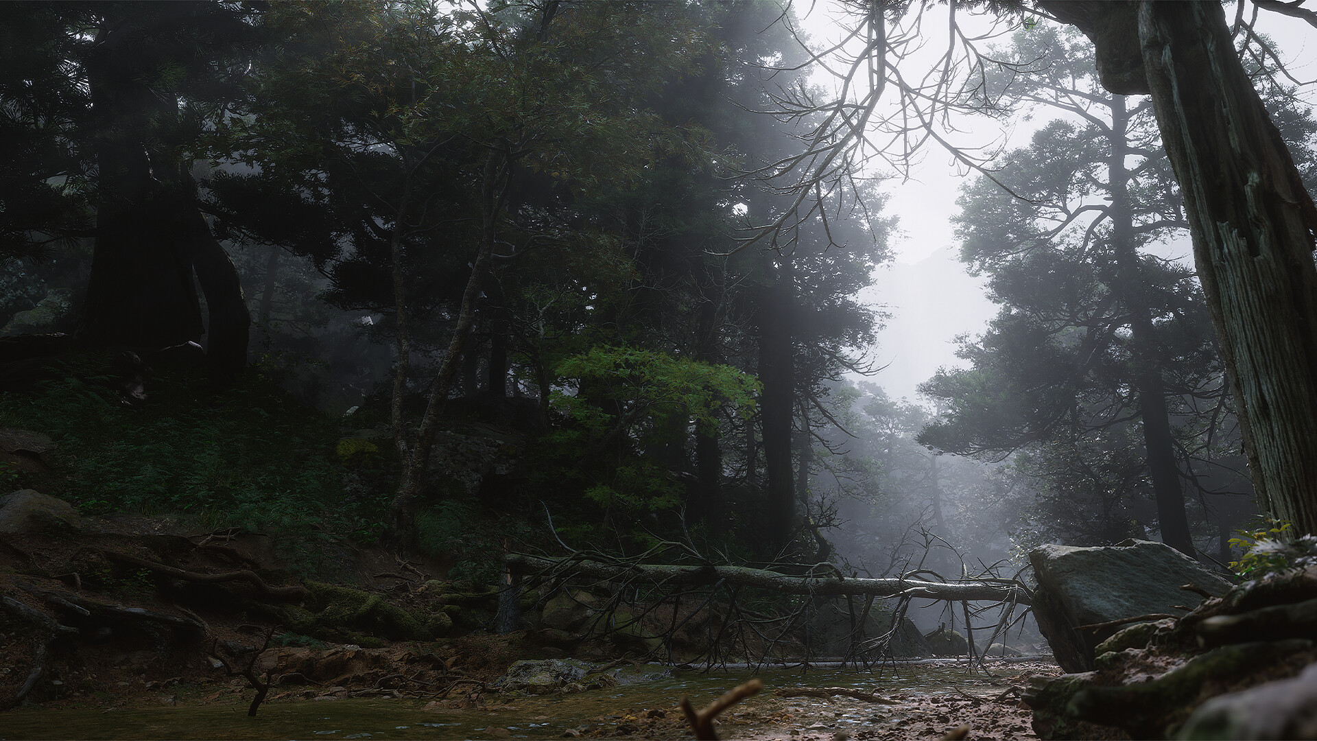 黑神话悟空风林月影三十五项修改器截图3
